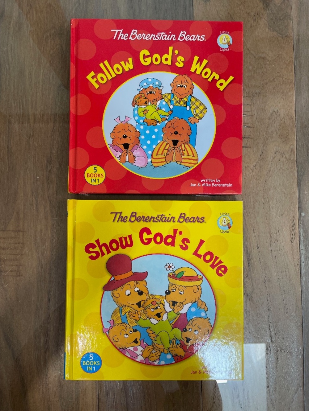 Set of 2 Berenstain Bears Hardcover Books